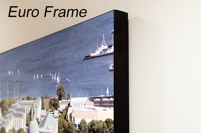 euro frame